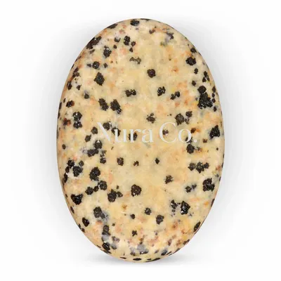 Dalmatian - Imprint Now - CA
