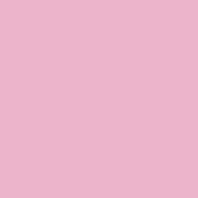 Light Pink - Imprint Now - CA