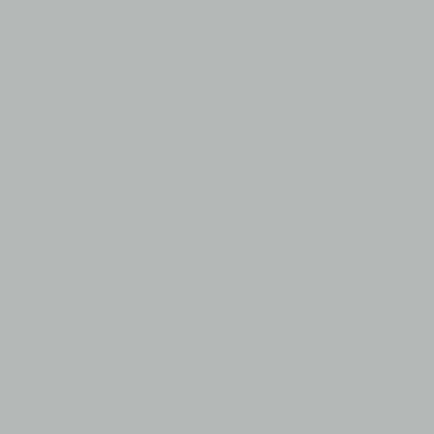 Light Grey - Imprint Now - CA