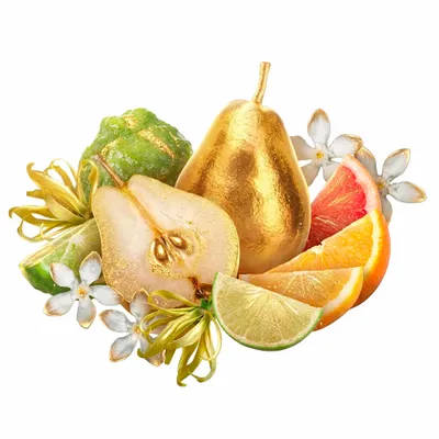 Golden Adore - Imprint Now - CA