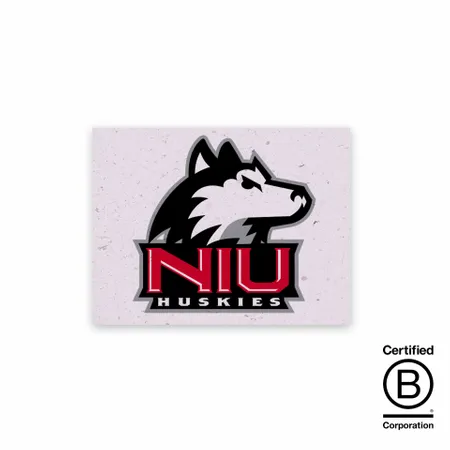 Seed Paper Panel Cards - Imprint Now - CA