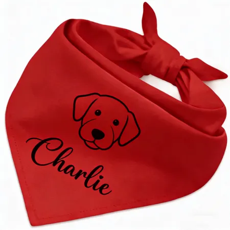 Cotton Bandanas - Imprint Now - CA