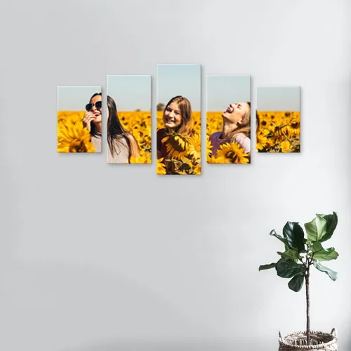 Set C - Imprint Now - CA