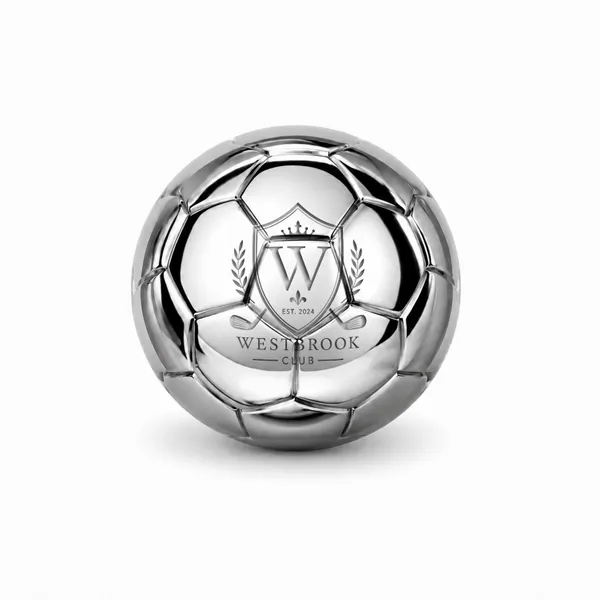 Soccer Ball Stainless Steel Ice Cubes