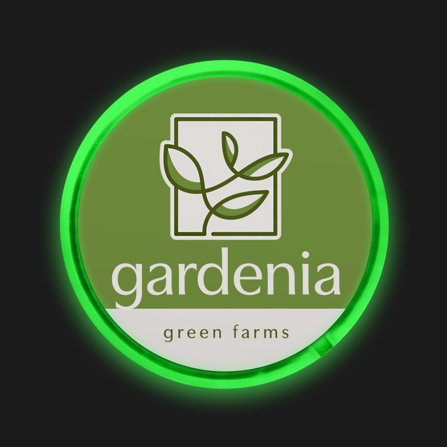 Light Button Pins - Imprint Now - CA