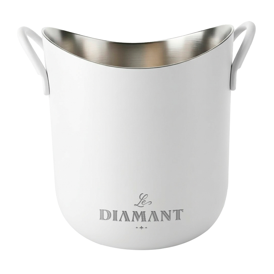 Stainless Steel Party Buckets - Imprint Now - CA