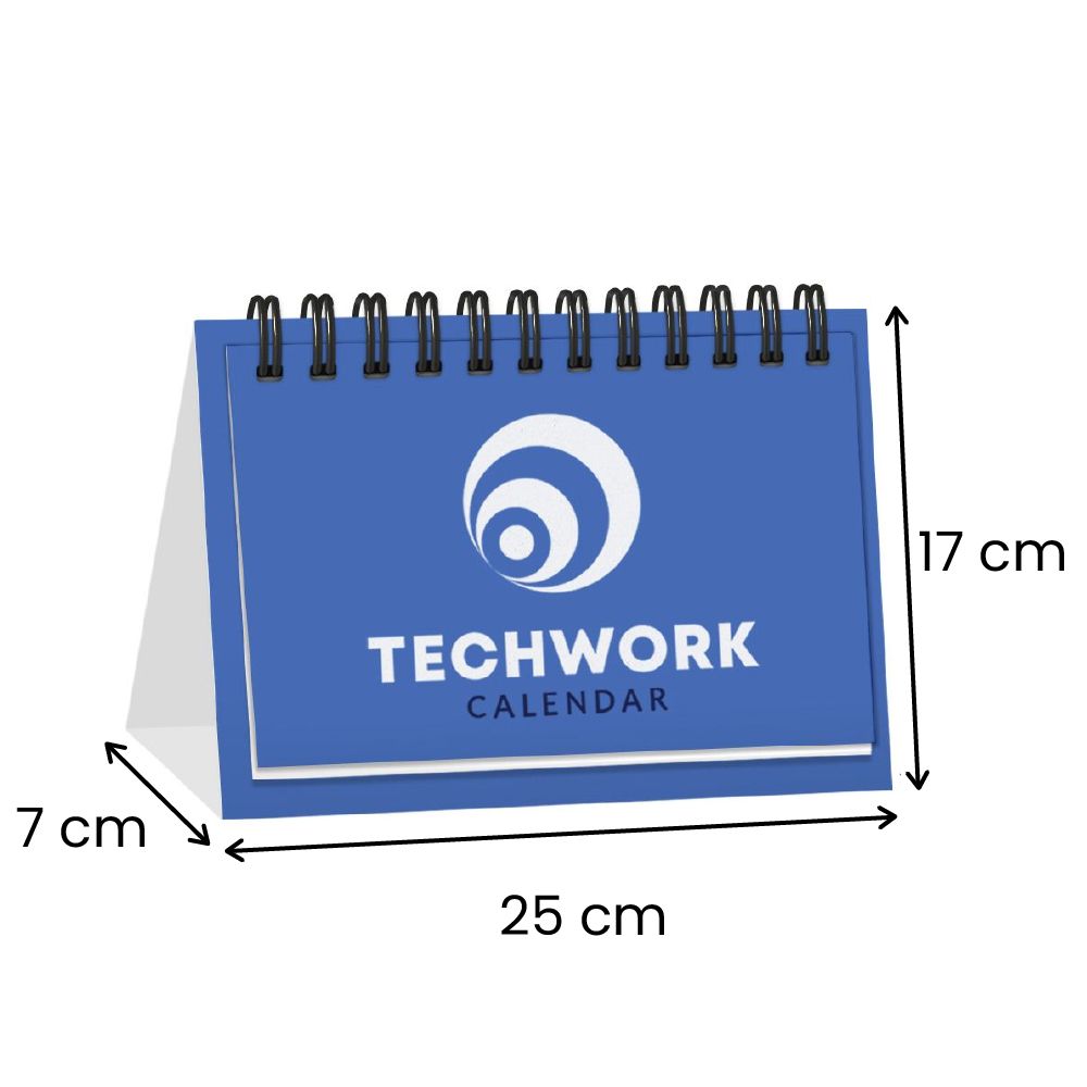 25 cm L x 17 cm W x 7 cm H