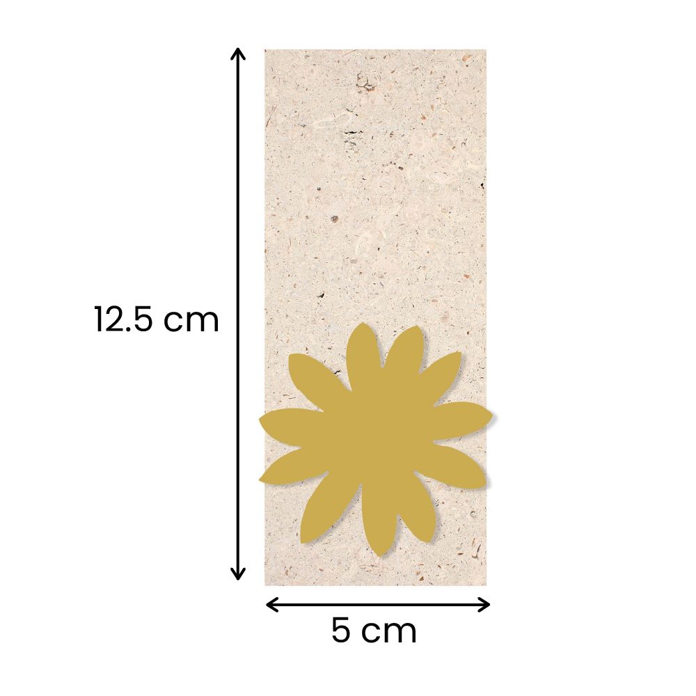 5 cm  x 12.5 cm